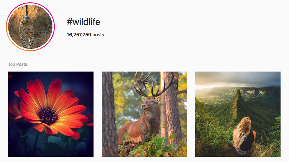 Best Instagram Photography Hashtags The Top 10 For Engagement